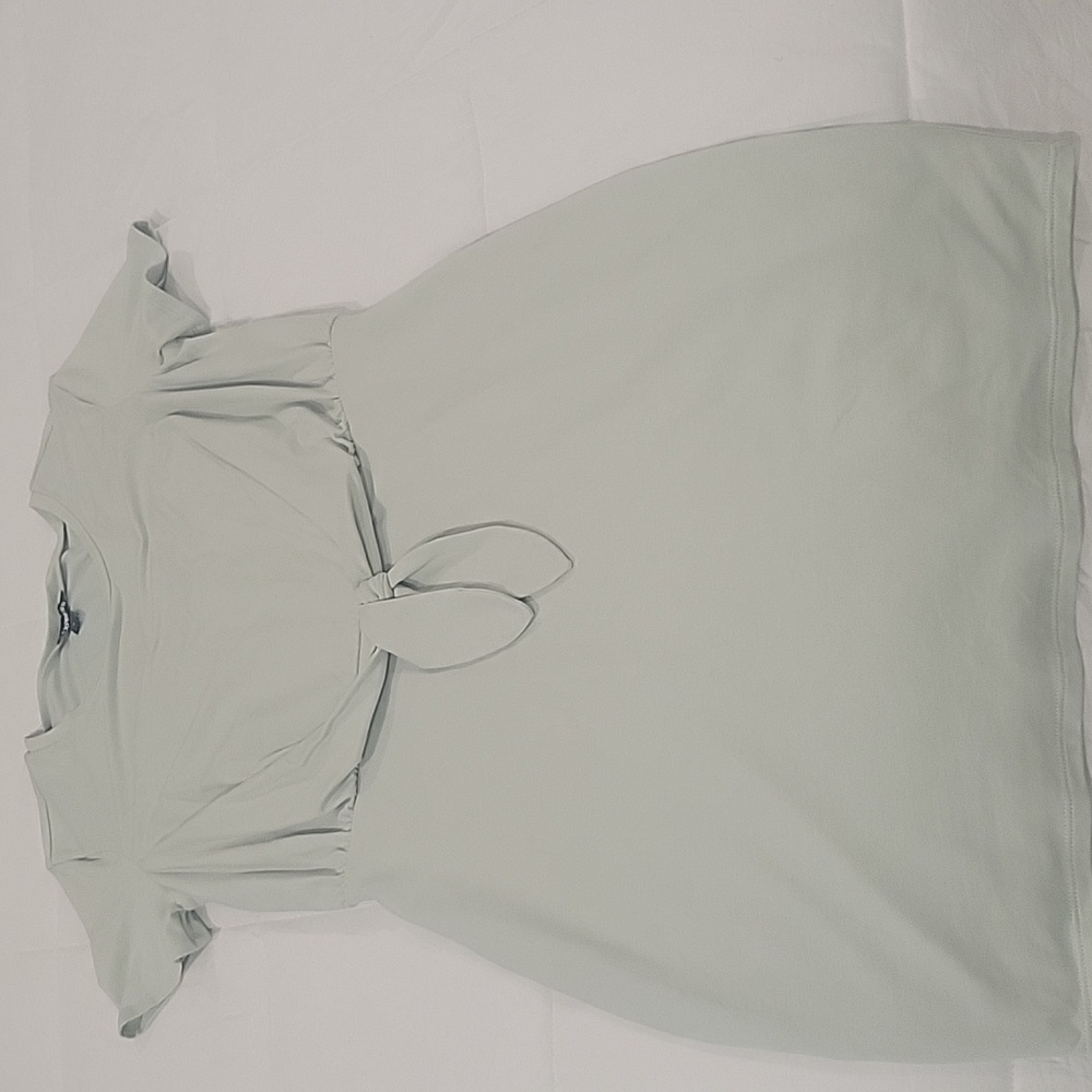 Express lined mint green fitted dress